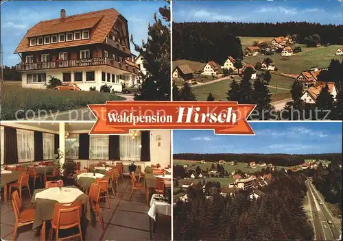 Kniebis Freudenstadt Waldpension Hirsch Kat. Freudenstadt