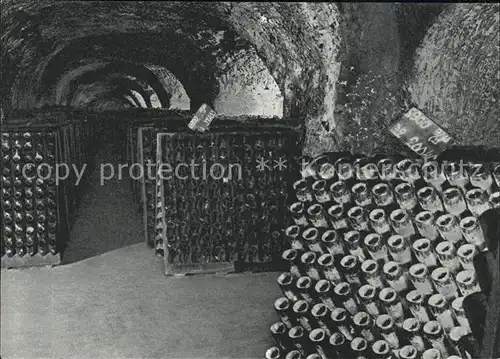 Epernay Marne Galerie de vins sur pupitres durant le remuage Kat. Epernay