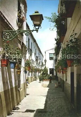 Malaga Andalucia The Victoriana Typical Street Kat. Malaga