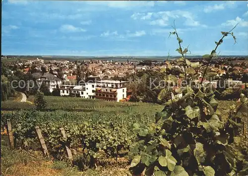 Bad Bergzabern Teilansicht Kat. Bad Bergzabern