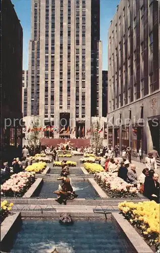 New York City Rockefeller Center Flower Plaza / New York /