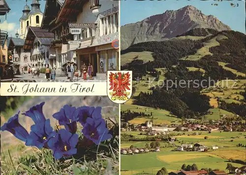 St Johann Tirol Speckbacherstr Enzian Totalansicht mit Kitzbueheler Horn Kat. St. Johann in Tirol