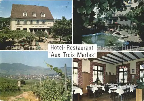 Ammerschwihr Hotel Restaurant Aux Trois Merles Gaststube Teich Panorama Kat. Ammerschwihr