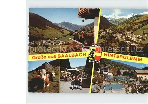 Saalbach Hinterglemm Zwoelferkogel Talschluss Schwimmbad  Kat. Saalbach Hinterglemm