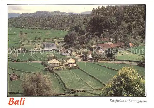 Bali Indonesien Ricefields Karangasem Kat. Bali