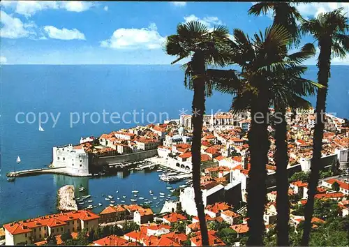 Dubrovnik Ragusa  Kat. Dubrovnik