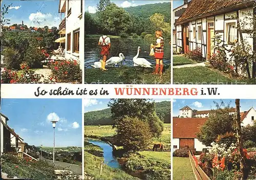 Wuennenberg Bad Schwaene  Kat. Bad Wuennenberg