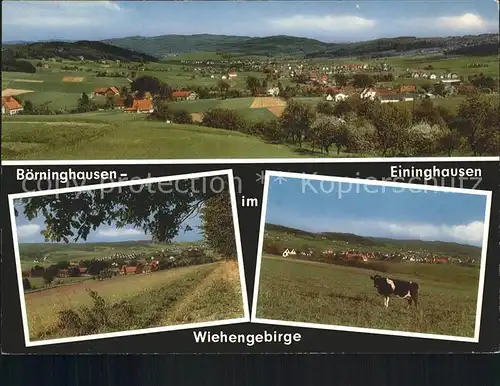 Boerninghausen Eininghausen Kuh Kat. Preussisch Oldendorf