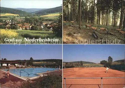 Niederbeisheim Schwimmbad Tennisplatz Wald Rehe Kat. Knuellwald