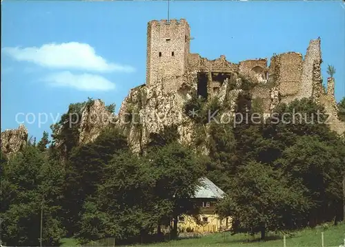 Regen Burgruine Weissenstein Kat. Regen