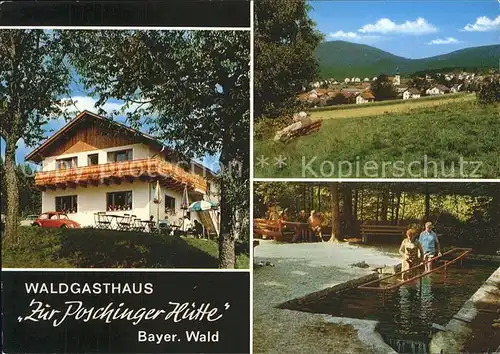 Arnbruck Waldgasthaus Zur Poschinger Huette Wassertretanlage Panorama Kat. Arnbruck