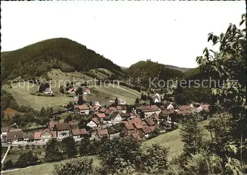 Sieber Blick vom Breitentalskopf Kat. Herzberg am Harz