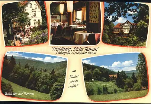 Hohegeiss Harz Waldhotel Dicke Tannen Gastraum Blick von der Terrasse Kat. Braunlage