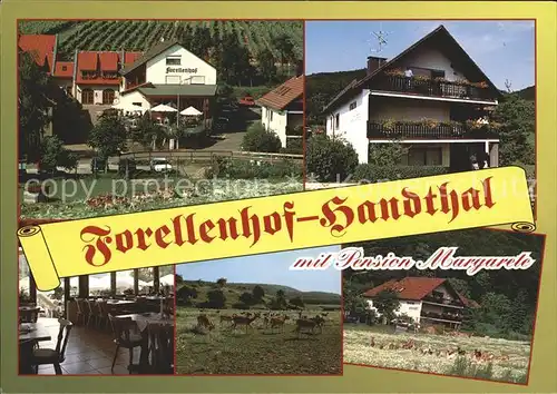 Handthal Schweinfurt Gasthaus Forellenhof und Pension Margarete Gastraum Damwild Kat. Oberschwarzach