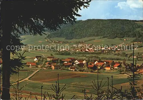 Kuehbach Ringelai Panorama Bayerischer Wald Kat. Ringelai