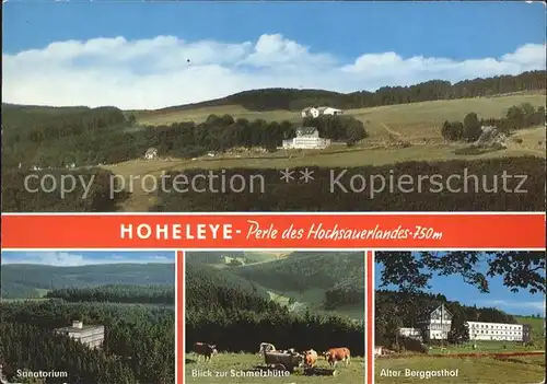Hoheleye Perle des Hochsauerlandes Sanatorium Schmelzhuette Kuehe Berggasthof Kat. Winterberg