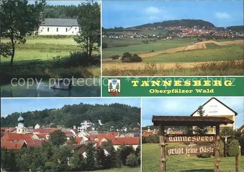 Taennesberg Ferienort Oberpfaelzer Wald Teich Landschaft Ortsansicht Kirche Kat. Taennesberg