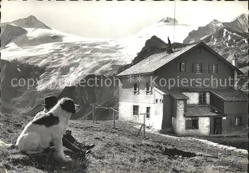 Tuxerjochhaus Mann mit Hund im Zillertal Kat. Finkenberg