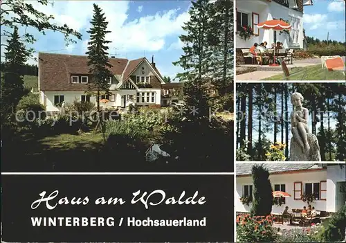 Winterberg Hochsauerland Hotel Pension Haus am Walde Skulptur Kat. Winterberg