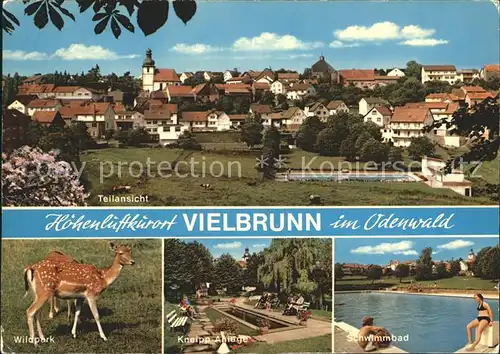 Vielbrunn Ortsansicht mit Kirche Luftkurort Wildpark Rehkitz Kneipp Anlage Schwimmbad Kat. Michelstadt