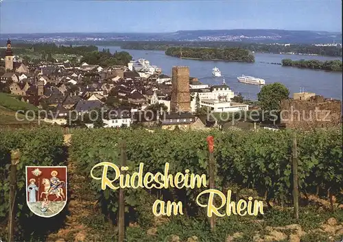 Ruedesheim Rhein Panorama Kat. Ruedesheim am Rhein