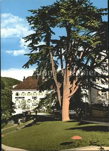 Badenweiler Parkhotel mit Zeder Kat. Badenweiler