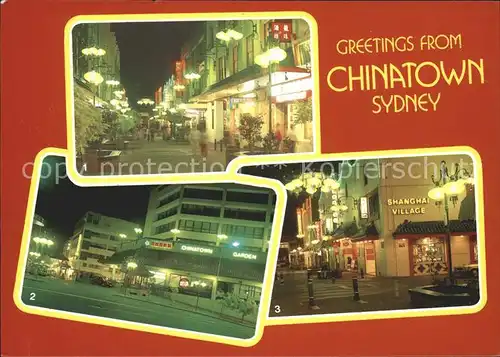 Sydney New South Wales Dixon Street Chinatown Gardens Intersection of Dixon and Little Hay Street Kat. Sydney