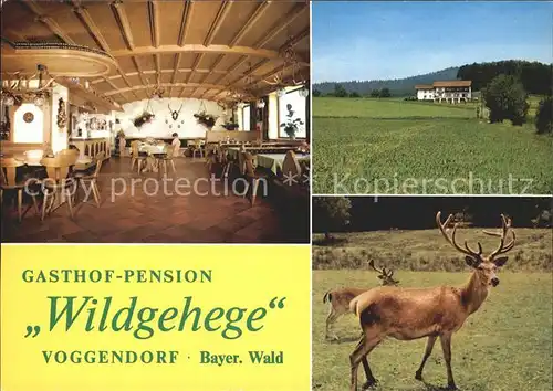 Voggendorf Grafenwiesen Gasthof Pension Wildgehege Gastraum Hirsche Kat. Grafenwiesen