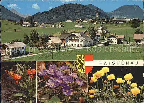 Faistenau Salzburg Ortsansicht Alpenflora Kat. Faistenau