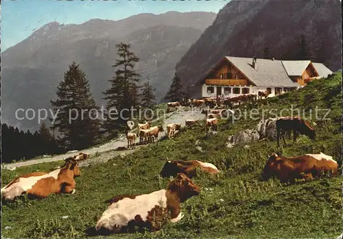 Golling Salzach Jochalm Bluntautal  Kat. Golling an der Salzach