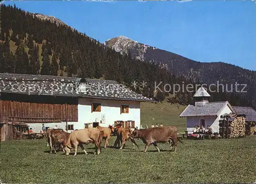 Partenkirchen Esterbergalm  Kat. Garmisch Partenkirchen