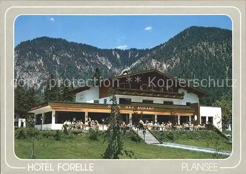 Plansee Hotel Forelle Kat. Breitenwang