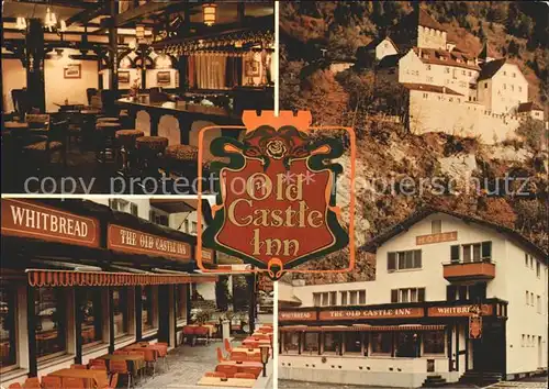 Vaduz Old Castle Inn Landgasthof Kat. Vaduz