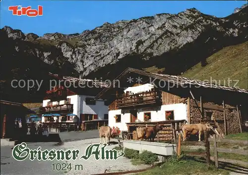 Wilder Kaiser Griesner Alm Kat. Wildermieming