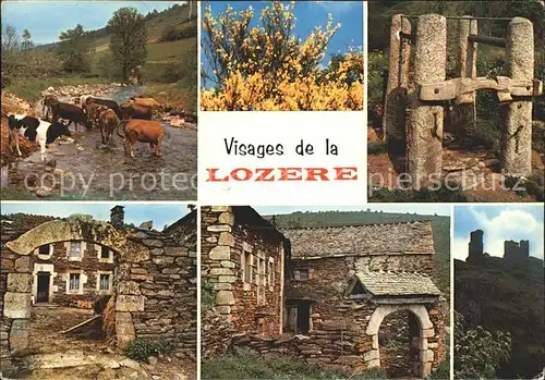 Languedoc Roussillon Lozere Kat. Montpellier de Medillan