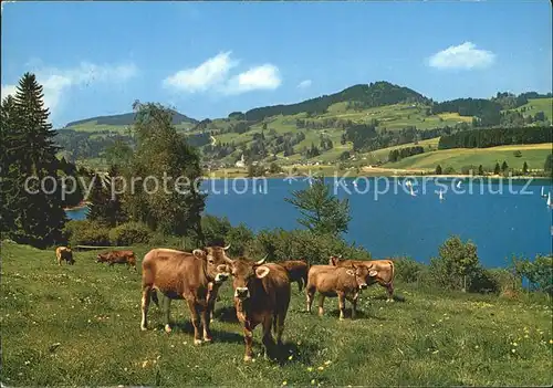 Niedersonthofen mit See und Stoffelberg Kat. Waltenhofen