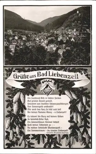 Bad Liebenzell Totalansicht Gedicht Kat. Bad Liebenzell