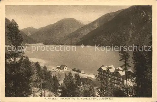 Plansee mit Hotel Forelle und Zugspitze Wettersteingebirge Kat. Breitenwang