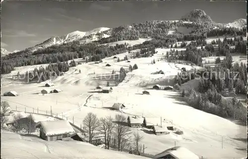 Saanenmoeser Zweisimmen  Kat. Saanenmoeser