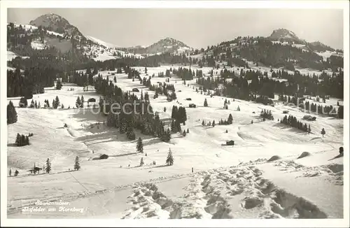 Saanenmoeser Zweisimmen Skigebiet am Kornberg Kat. Saanenmoeser