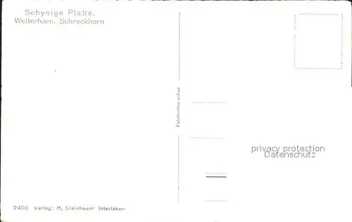 Schynige Platte Berghausterrasse mit Wetterhorn Schreckhorn Kat. Schynige Platte
