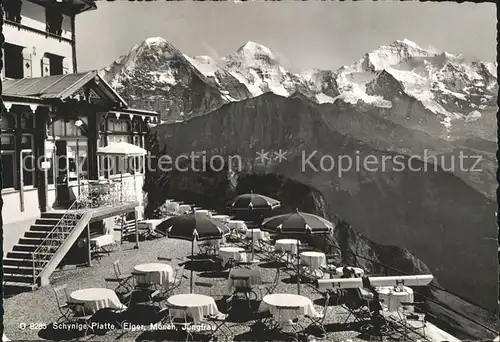 Schynige Platte Berghaus mit Eiger Moench Jungfrau Kat. Schynige Platte