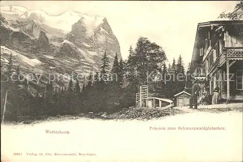 Wetterhorn Lauterbrunnen Pension zum Schwarzwaldgletscher Kat. Lauterbrunnen Wetterhorn