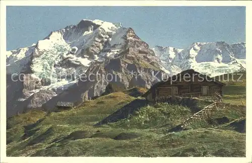 Lauterbrunnental Alphuette mit Jungfrau Gletscherhorn Ebnefluh Kat. Lauterbrunnen