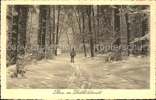 Bern BE im Daehlhoelzliwald Kat. Bern