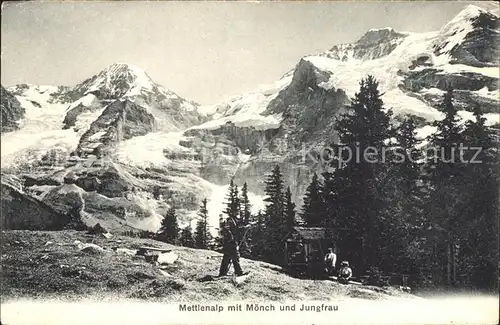 Mettlen Alp mit Moench und Jungfrau Kat. Mettlen