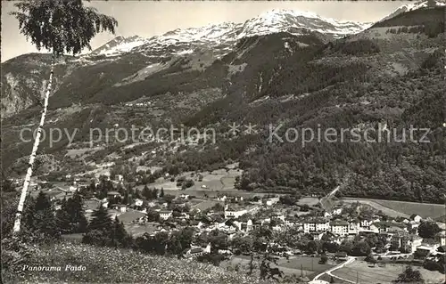 Faido Panorama Alpen Kat. Faido