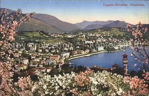 Paradiso Lago di Lugano Panorama Luganersee Baumbluete Alpen Kat. Paradiso
