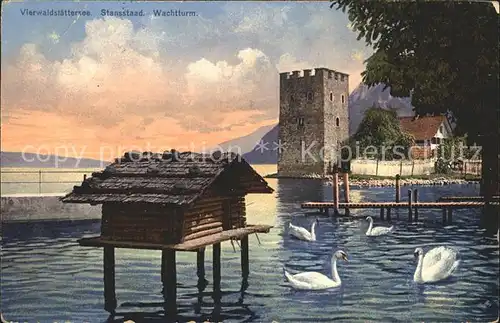Stansstad Vierwaldstaettersee Schwan Wachtturm Kat. Stansstad