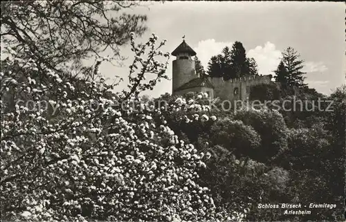 Arlesheim Schloss Birseck Eremitage Baumbluete Kat. Arlesheim